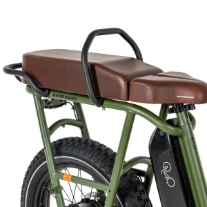 RadRunner Passenger Bars