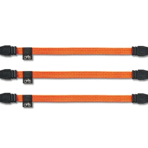 Cargo Straps